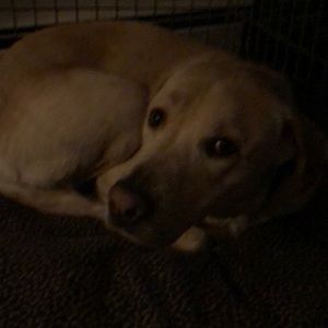 Meet your Posher, Cheryl